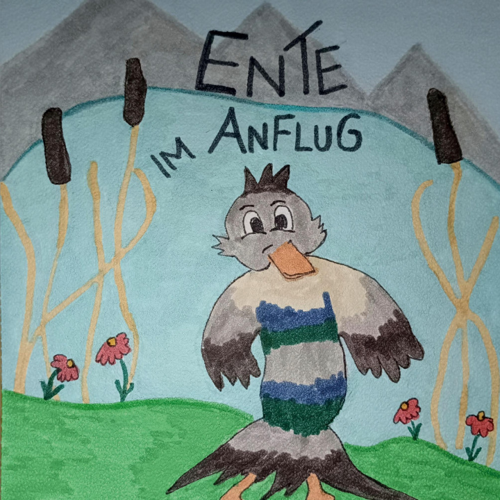 Buch Ente im Anflug 