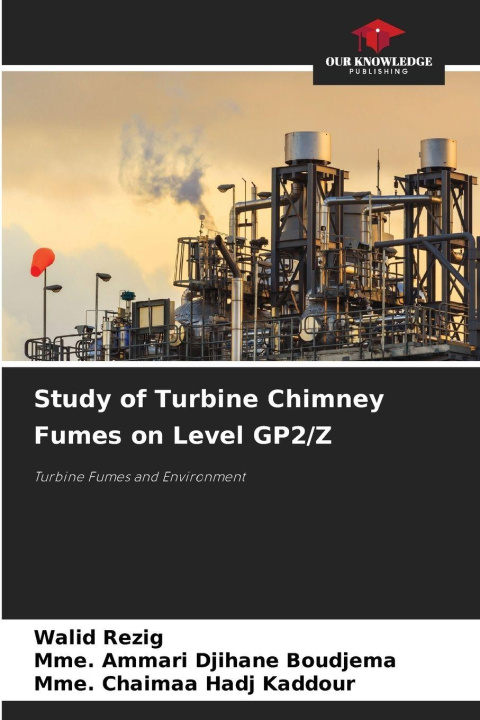 Kniha Study of Turbine Chimney Fumes on Level GP2/Z Mme. Ammari Djihane BOUDJEMA