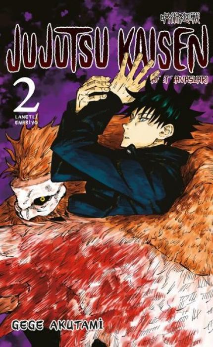 Boek Jujutsu Kaisen 2. Cilt 