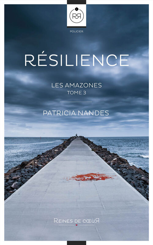 Boek Résilience Nandes