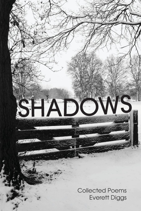 Kniha Shadows 