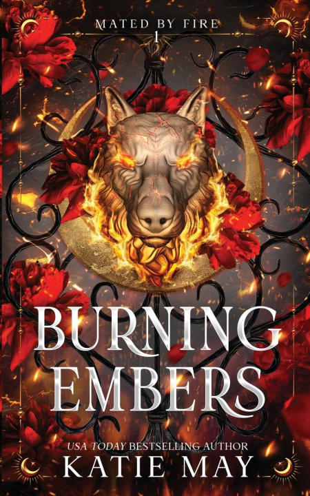 Boek Burning Embers 