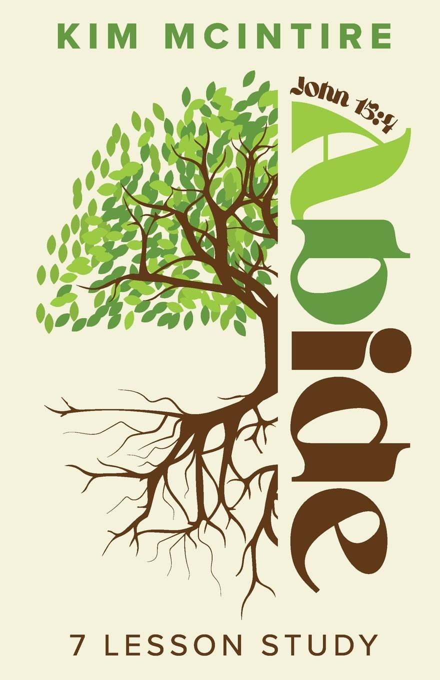 Kniha Abide Kim McIntire
