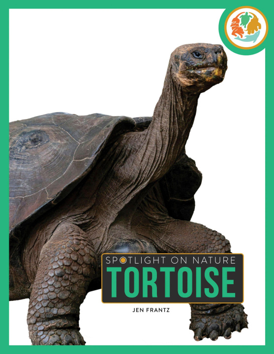 Kniha Tortoise FRANTZ JEN