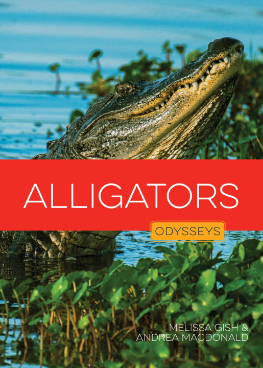 Kniha Alligators GISH MELISSA