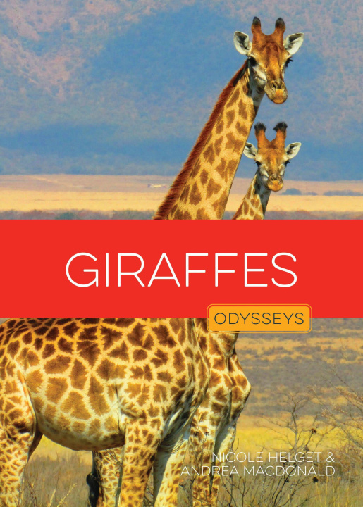 Buch Giraffes HELGET NICOLE
