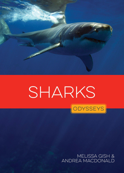 Kniha Sharks GISH MELISSA