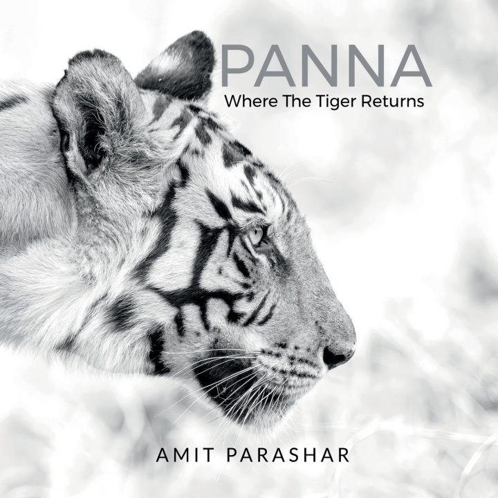 Книга Panna 