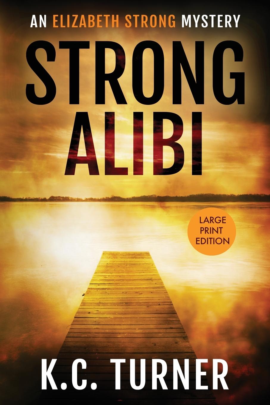 Knjiga Strong Alibi E M Handly