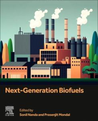 Kniha Next-Generation Biofuels Sonil Nanda
