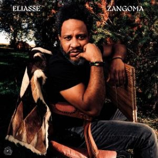Audio Zangoma 