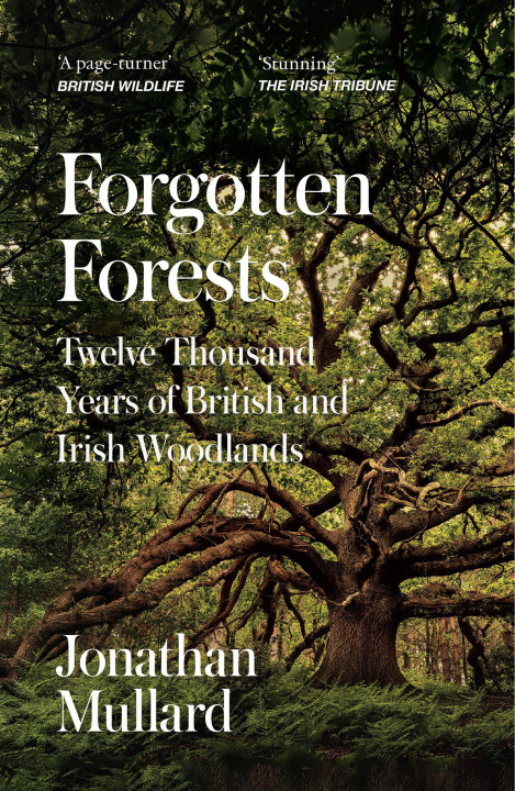 Kniha Forgotten Forests MULLARD JONATHAN