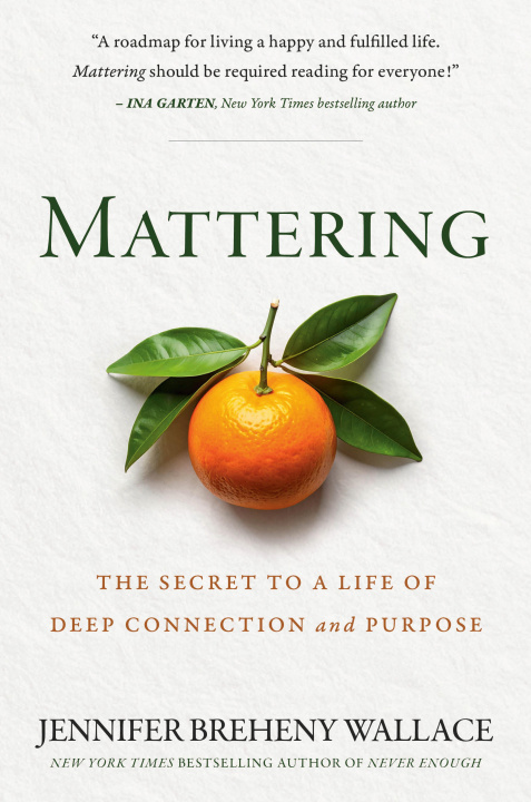 Buch Mattering BREHENY WALLACE JENNIFER