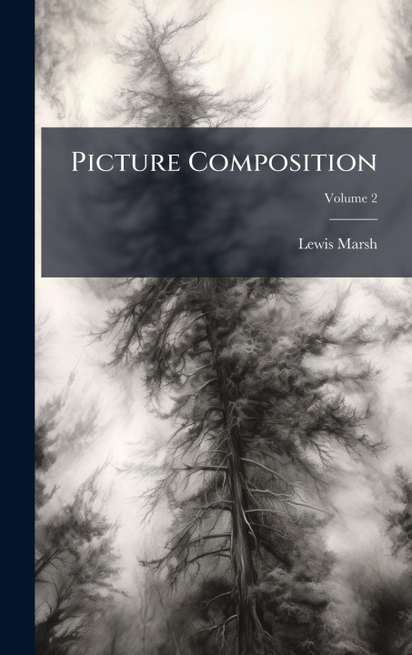 Kniha Picture Composition 