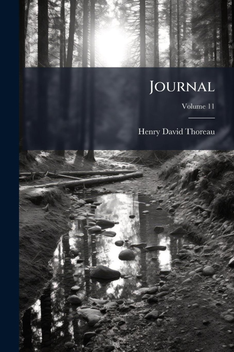 Kniha Journal 