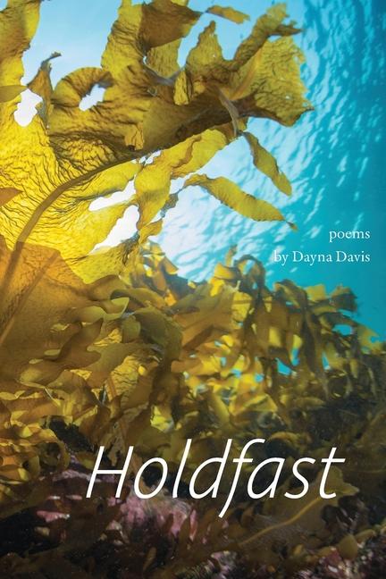 Kniha Holdfast 