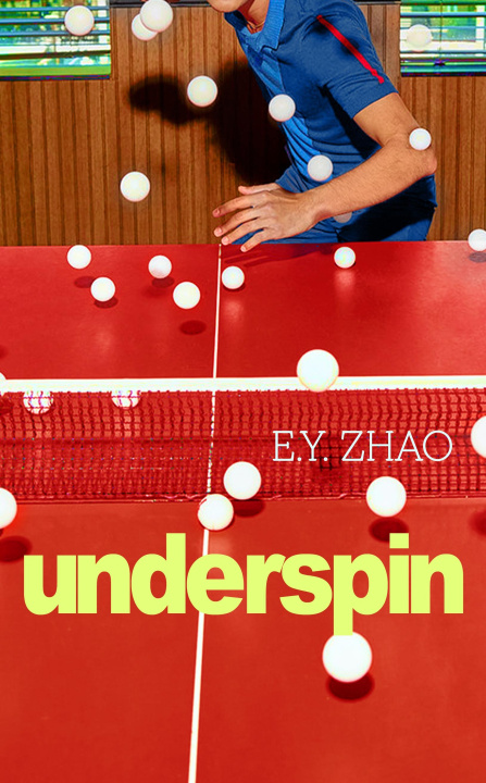 Kniha Underspin E Y Zhao