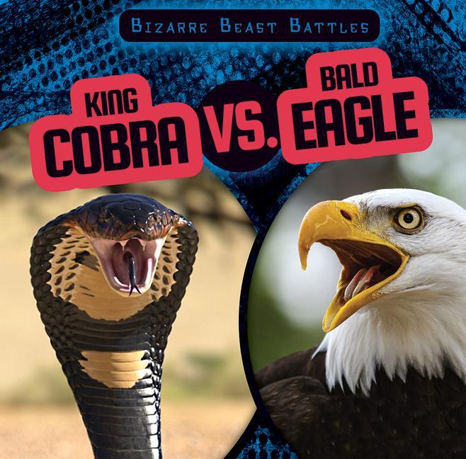 Kniha King Cobra vs. Bald Eagle 