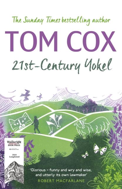 Buch 21st-Century Yokel Tom Cox