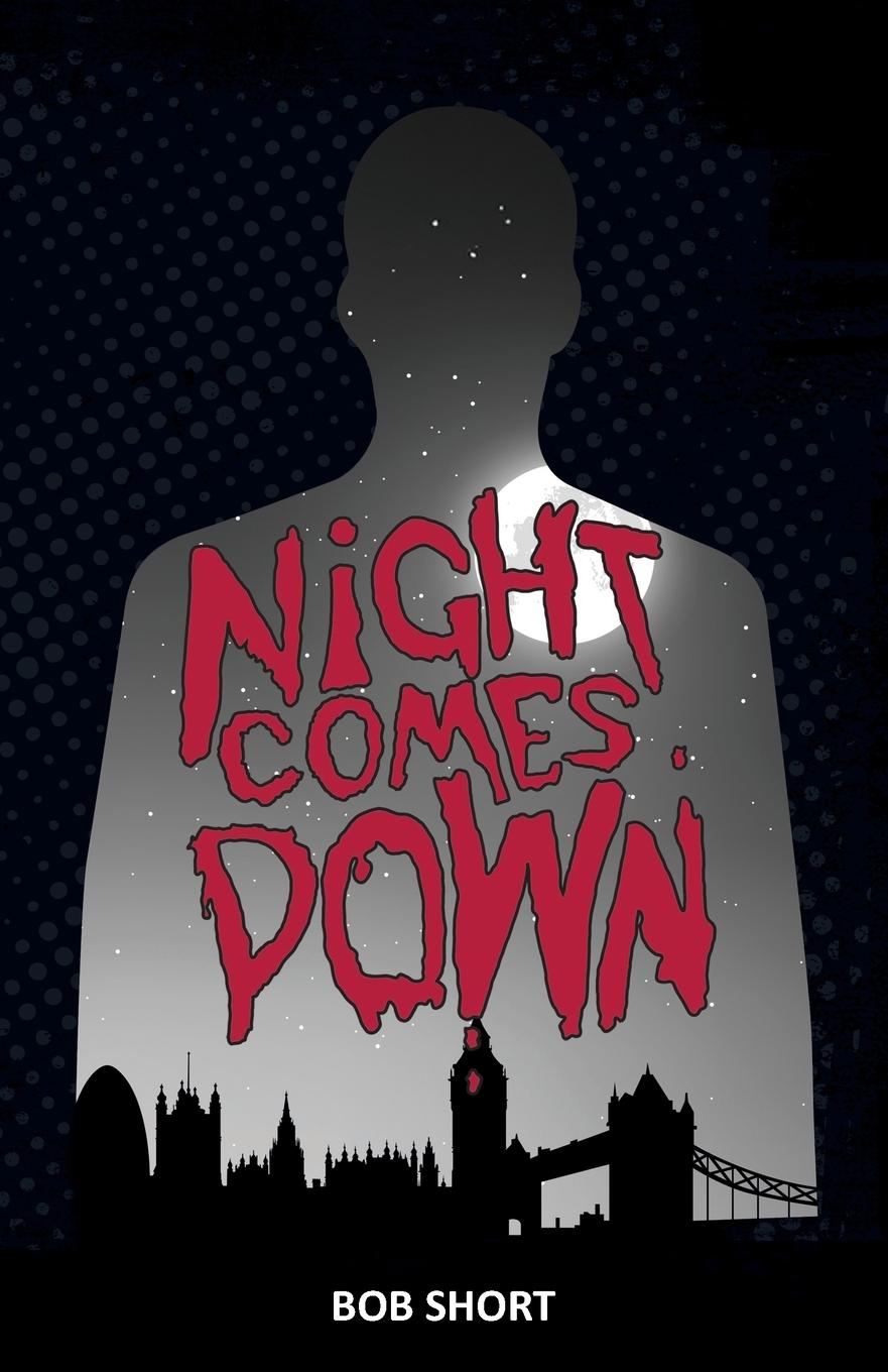 Kniha Night Comes Down 