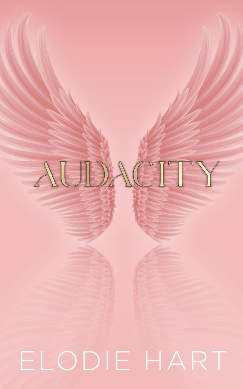 Kniha Audacity 
