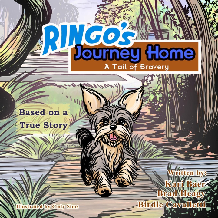 Libro Ringo's Journey Home Brad Heagy