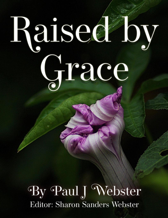 Kniha Raised by Grace 
