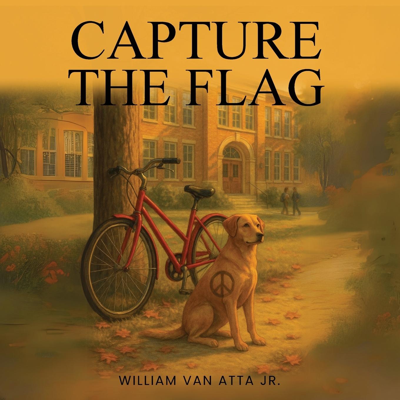 Knjiga Capture the Flag 
