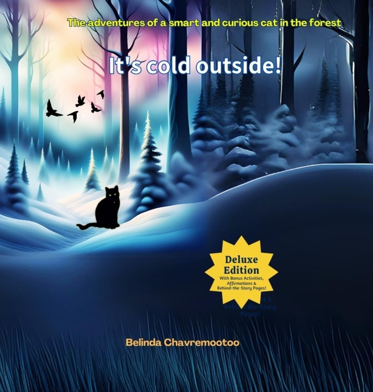 Kniha It's Cold Outside! Belinda Chavremootoo