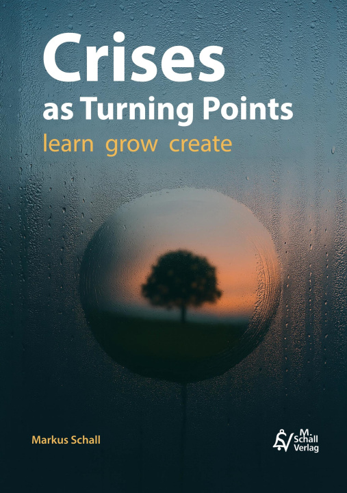 Kniha Crises as Turning Points Markus Schall