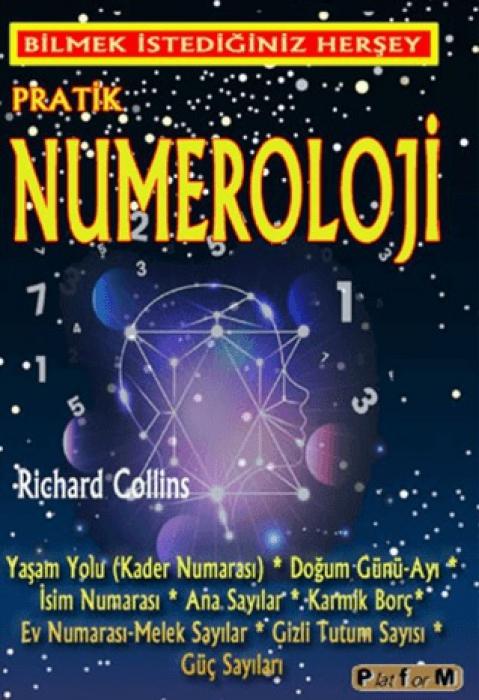 Kniha Pratik Numeroloji 