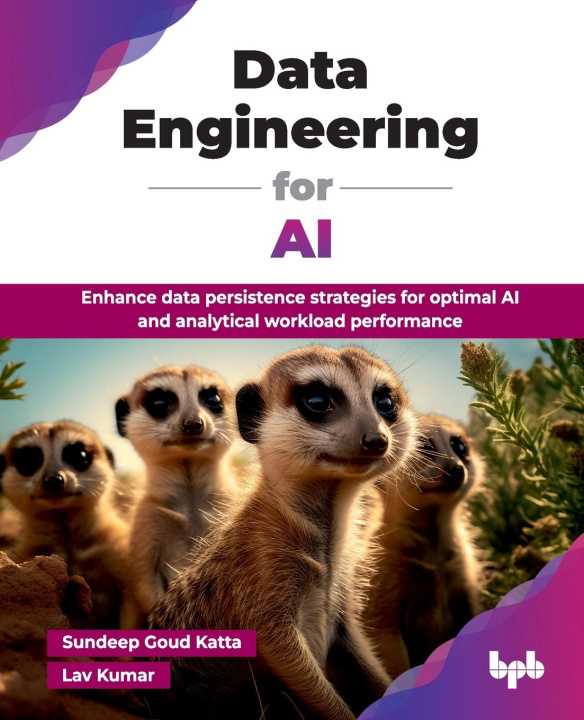 Kniha Data Engineering for AI Lav Kumar