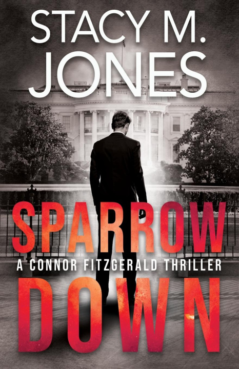 Kniha Sparrow Down 