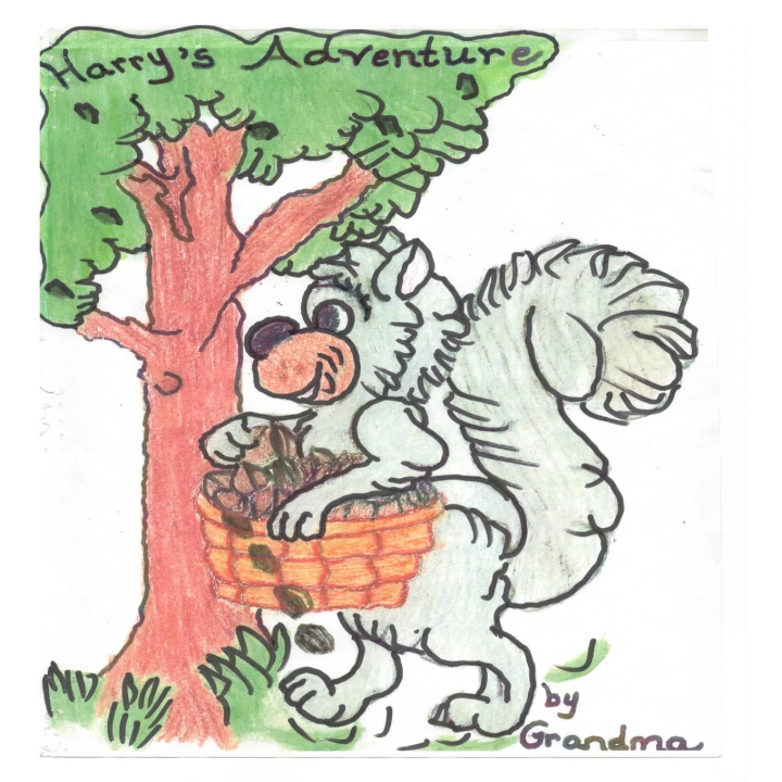 Kniha Harry's Adventure Angela DeVito