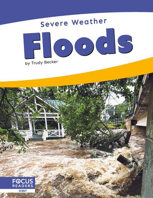 Kniha Floods Trudy Becker