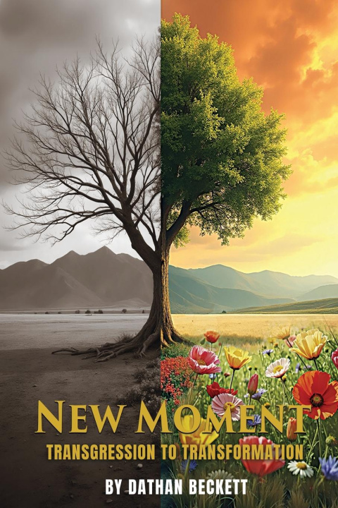 Knjiga New Moment 
