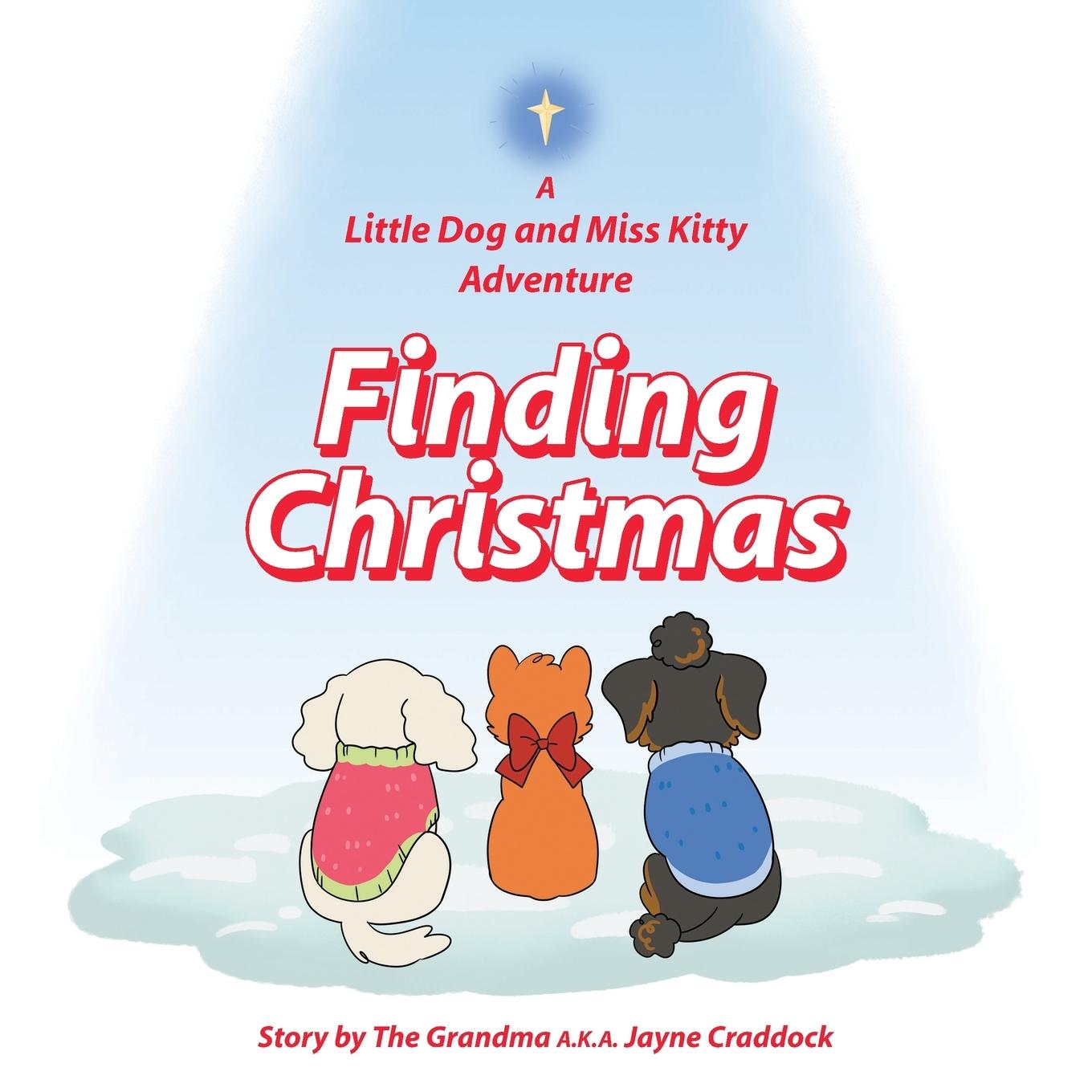 Kniha Finding Christmas Jayne Craddock