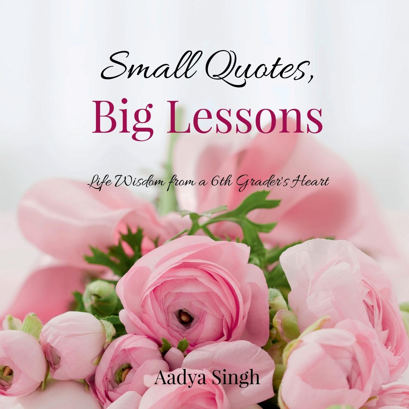 Kniha Small Quotes, Big Lessons 