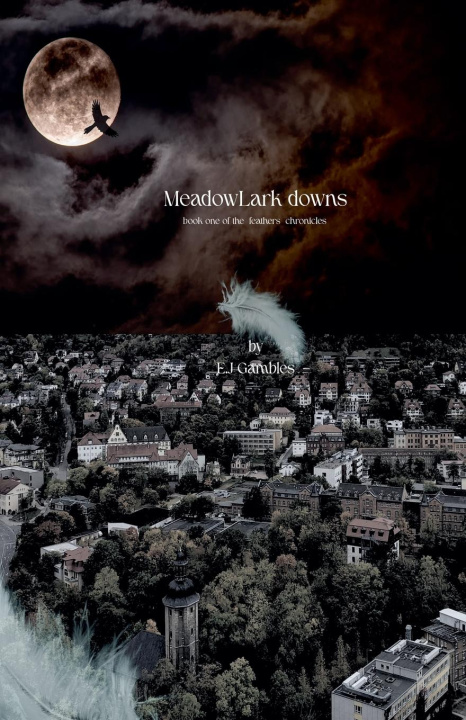 Kniha Meadowlark Downs E.J Gambles