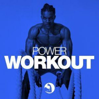 Audio Power Workout, 1 Audio-CD 