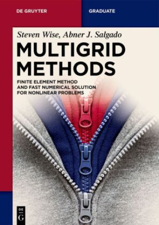 Kniha Multigrid Methods Steven M. Wise