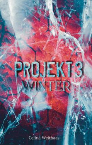 Książka Winter - Projekt III Celina Weithaas