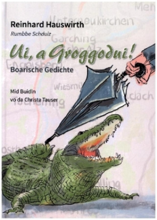 Kniha Ui, a Groggodui Reinhard Hauswirth
