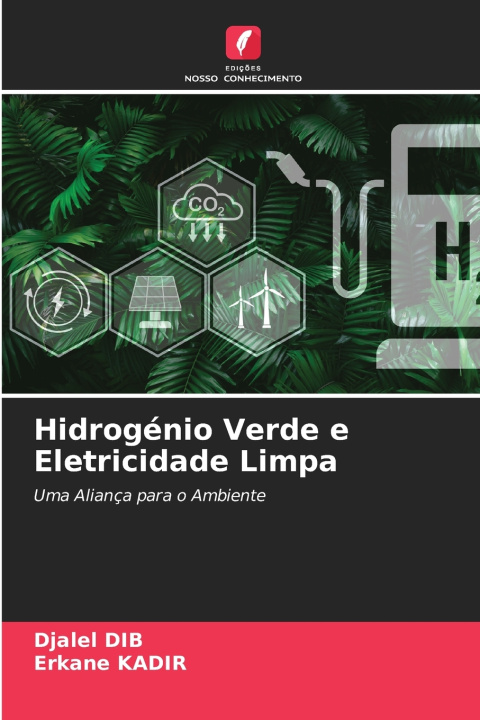 Kniha Hidrogénio Verde e Eletricidade Limpa Djalel Dib