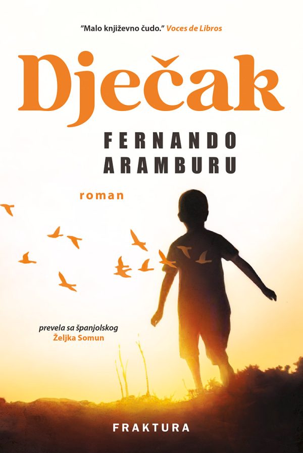Kniha Dječak Fernando Aramburu