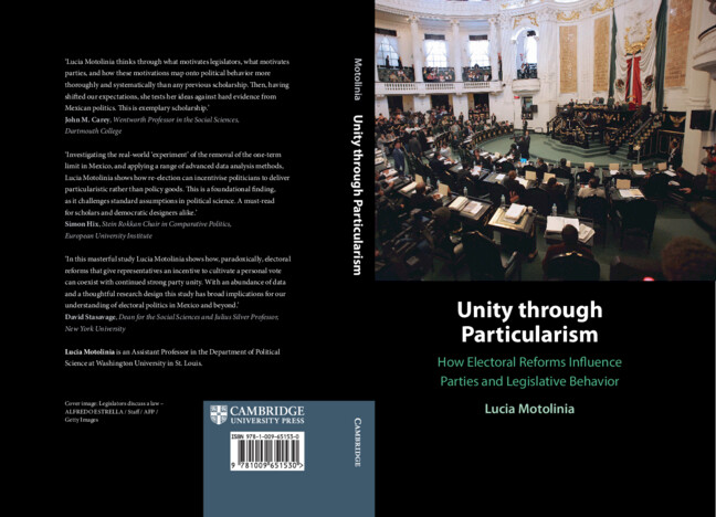 Kniha Unity through Particularism Lucia Motolinia
