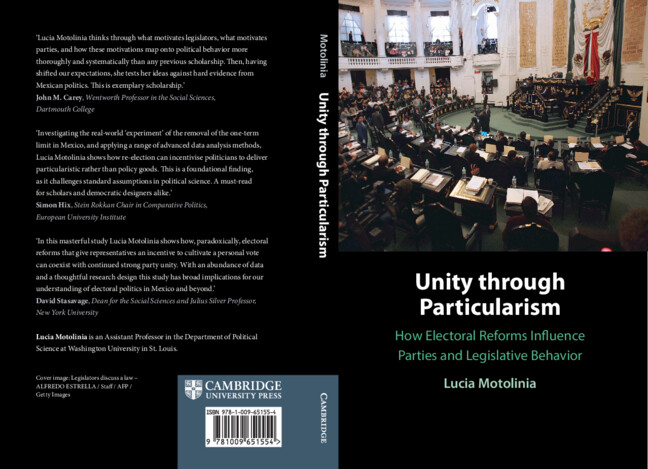 Kniha Unity through Particularism Lucia Motolinia