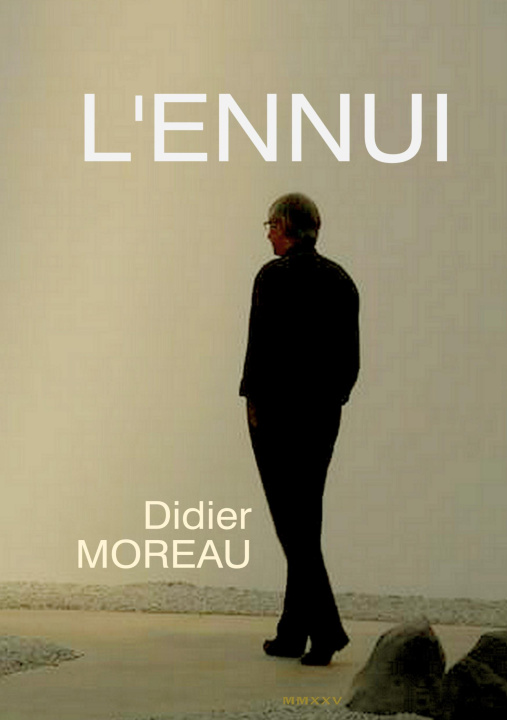 Kniha ENNUI MOREAU DIDIER