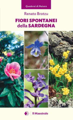 Kniha Fiori spontanei della Sardegna Renato Brotzu