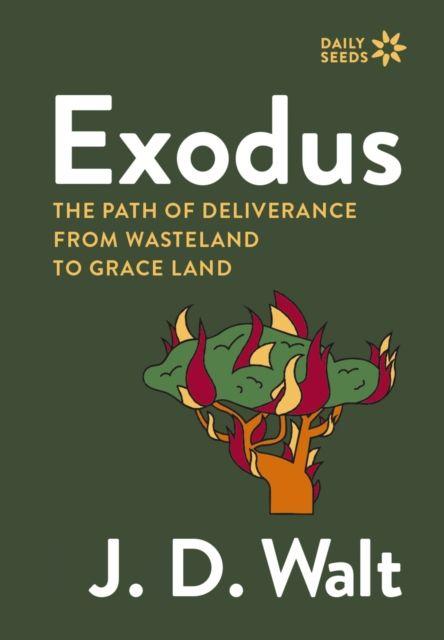 Kniha Exodus J.D. Walt